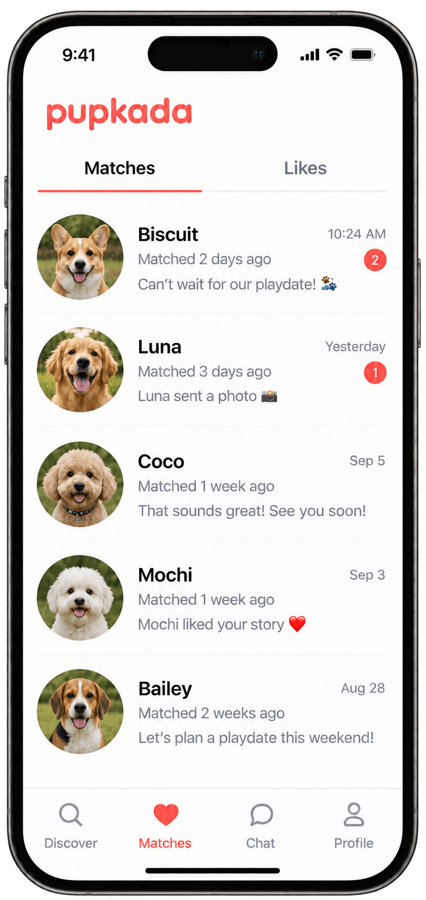 Pupkada pet discovery screen